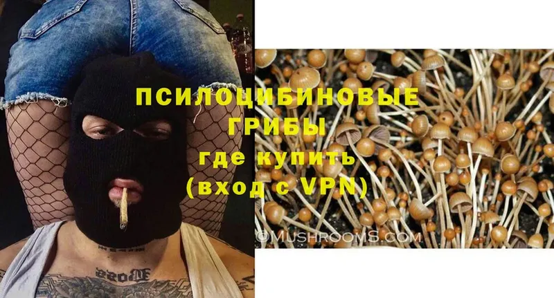 Галлюциногенные грибы MAGIC MUSHROOMS  Райчихинск 